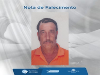 LEONOR ALVES RIBEIRO