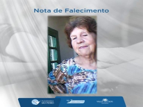 MARIA DE LOURDES PUJAK BORGES