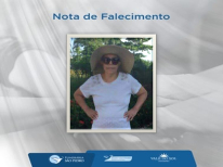 TEREZINHA MARIA NOREDINO