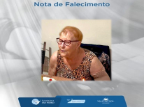 IVANIR CIVIDINI SHUH