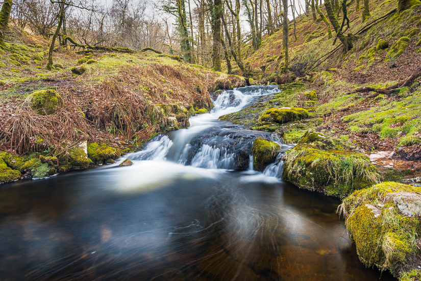 Venford brook collection – Cresser Photography