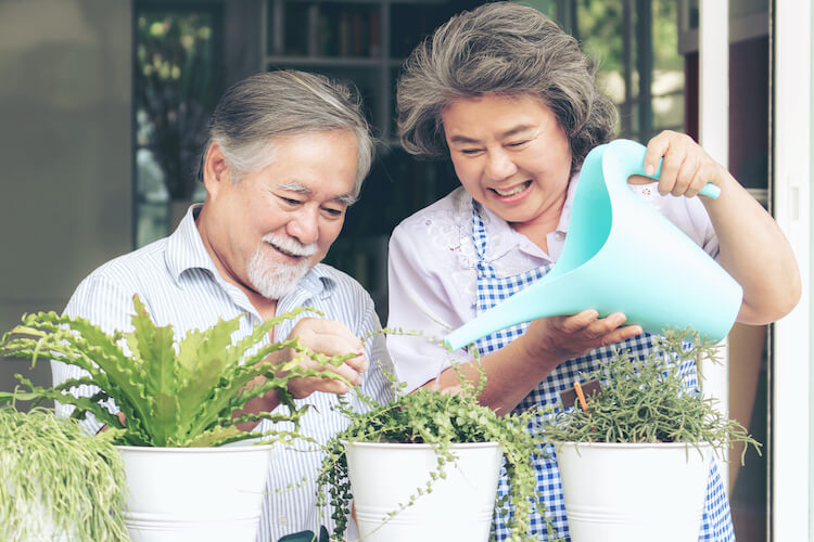 Senior couple water their plants in containers.
