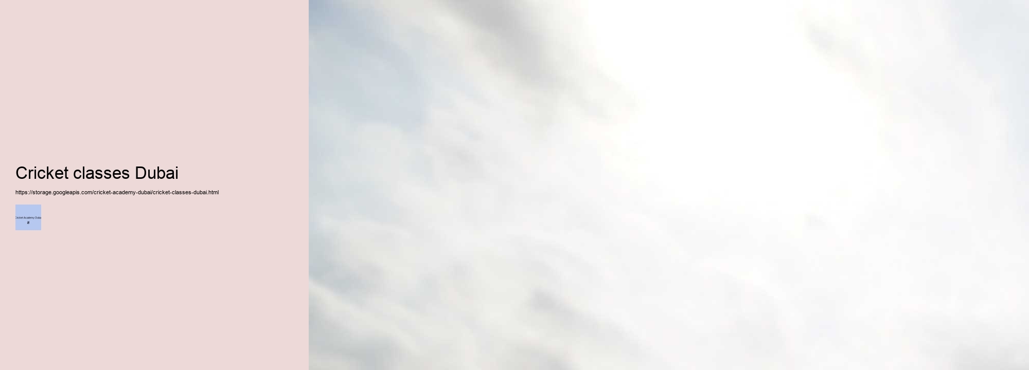 Discover How to Become a Pro Cricketer at Cricket Academy Dubai