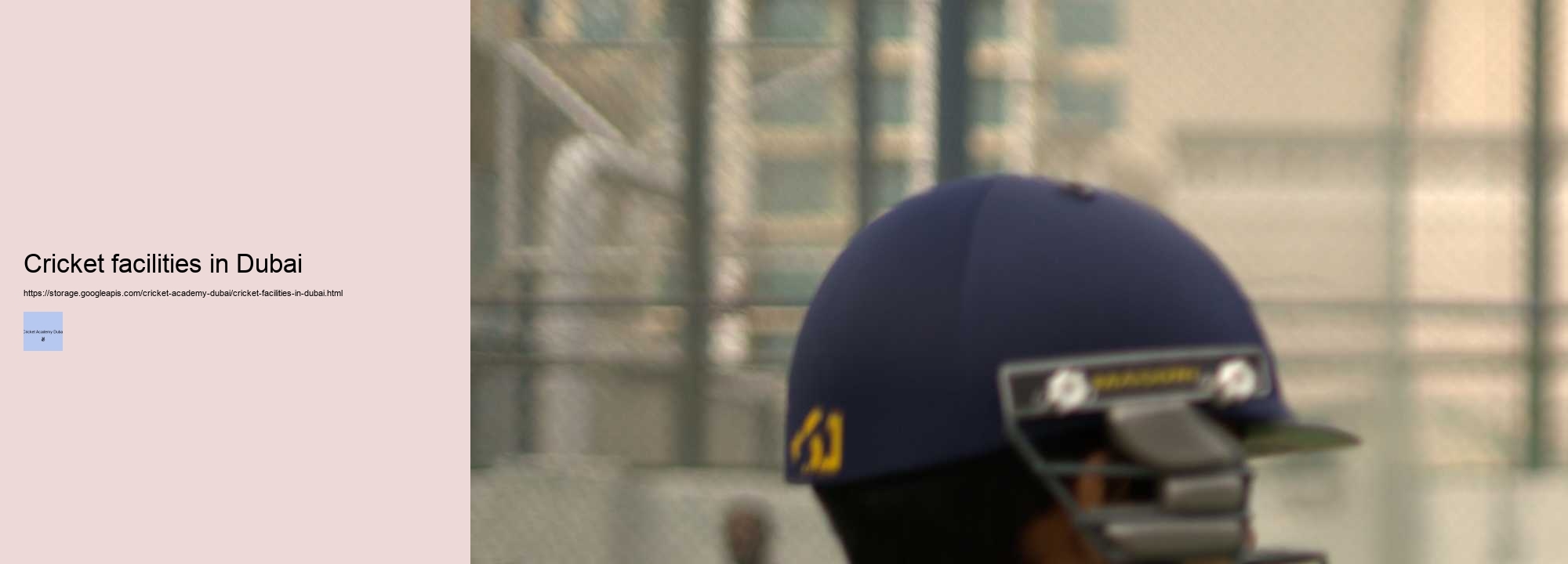 Cricket facilities in Dubai