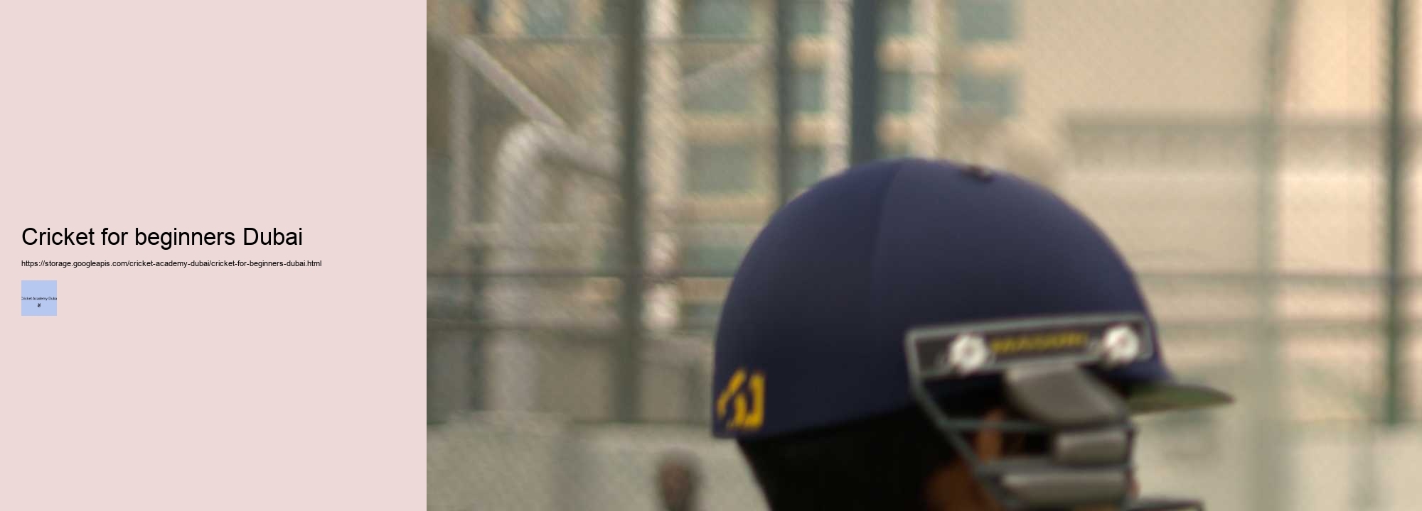 Cricket for beginners Dubai
