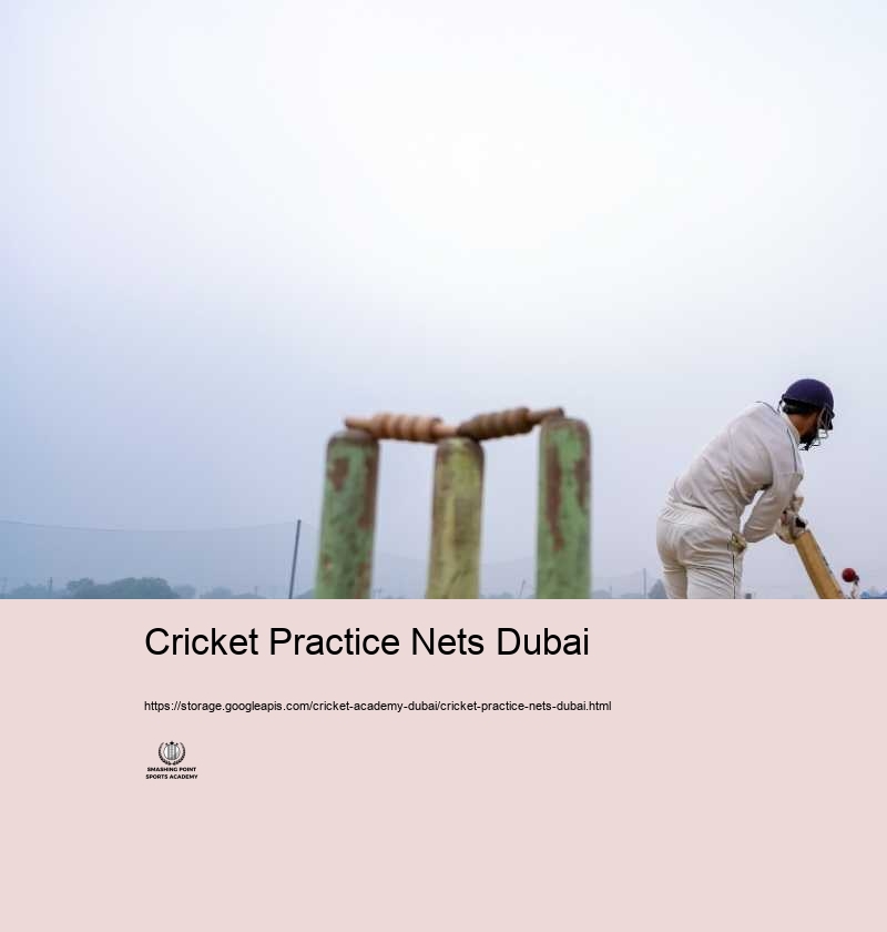 Why Pick Cricket Academy Dubai for Your Cricket Training