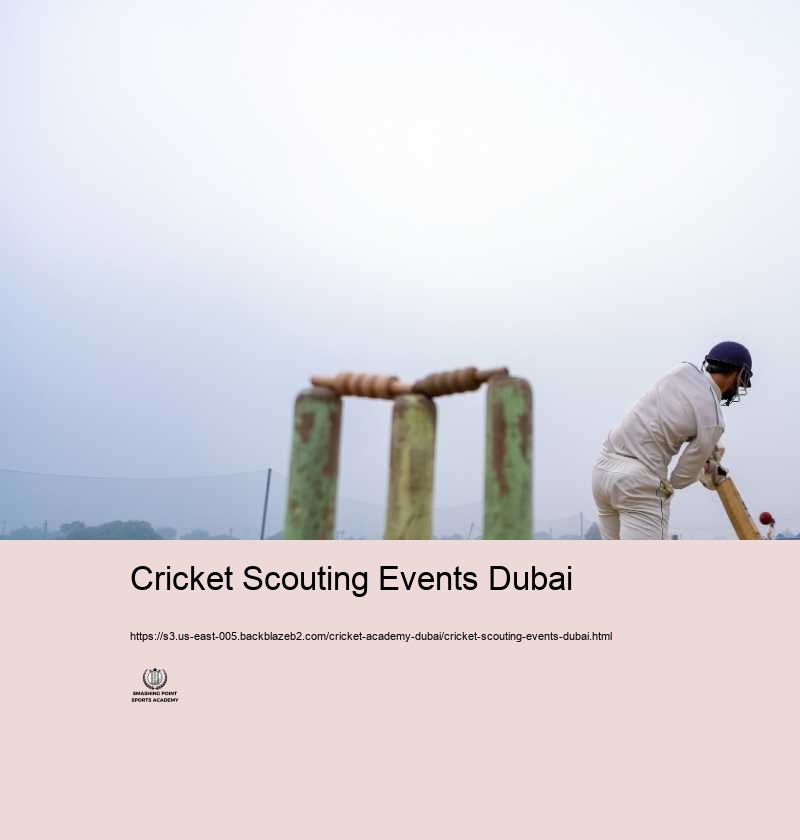 Why Select Cricket Academy Dubai for Your Cricket Training