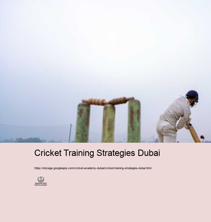 Why Select Cricket Academy Dubai for Your Cricket Training