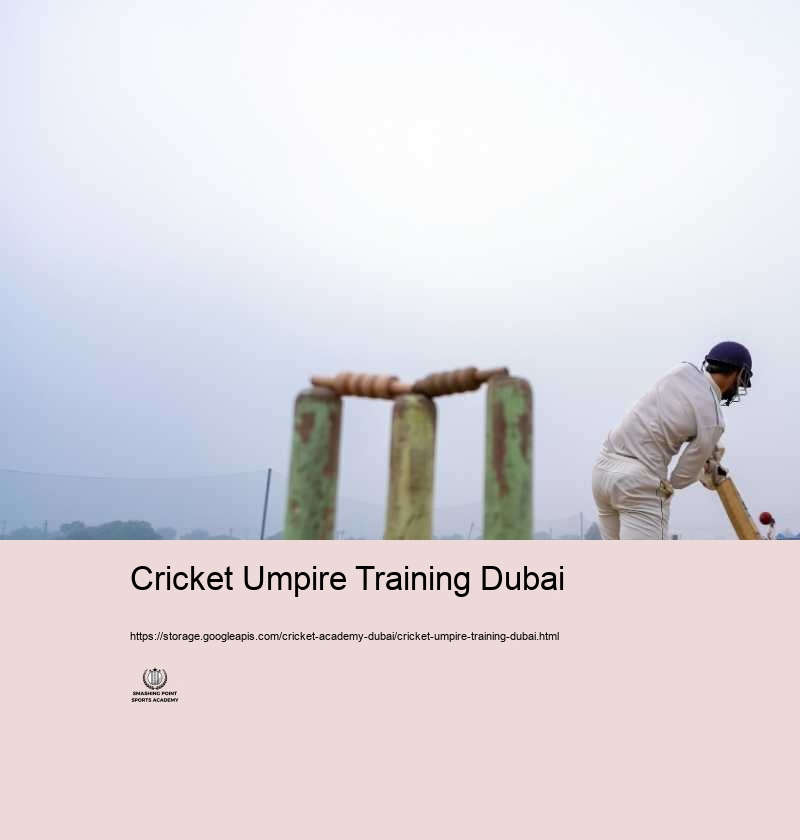 Why Choose Cricket Academy Dubai for Your Cricket Training