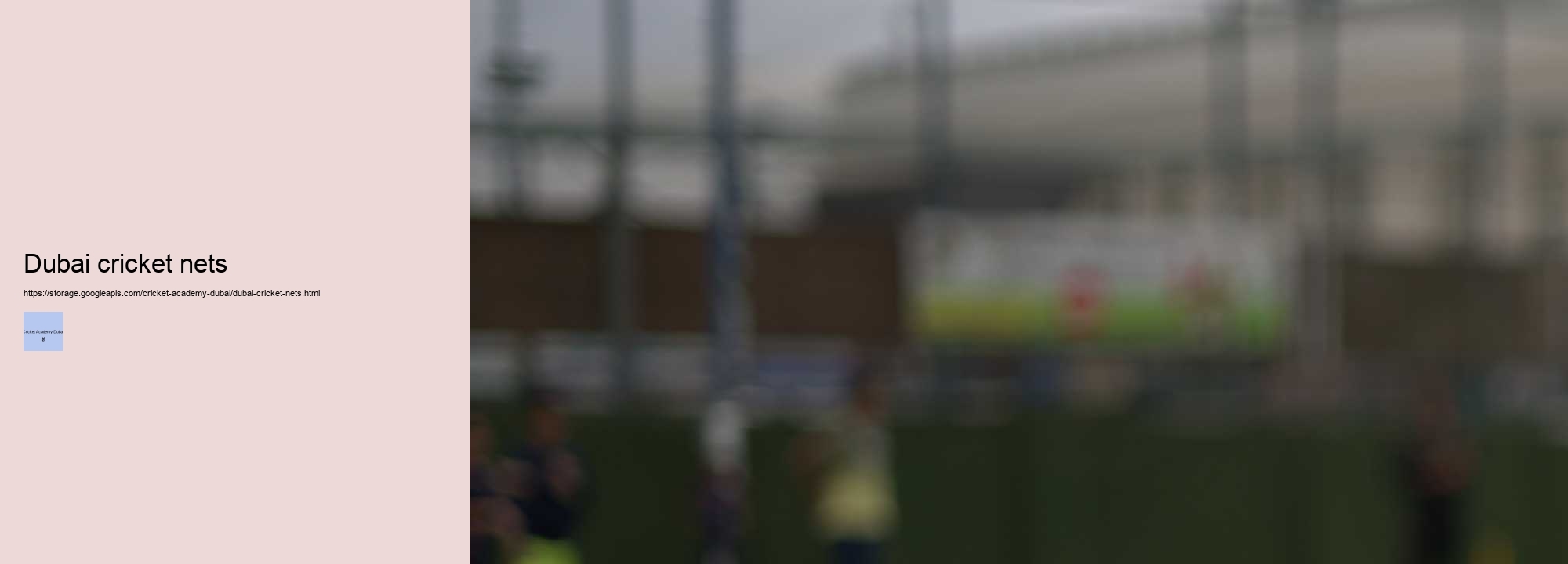 Success Stories: Promising Players from Dubai's Cricket Academies