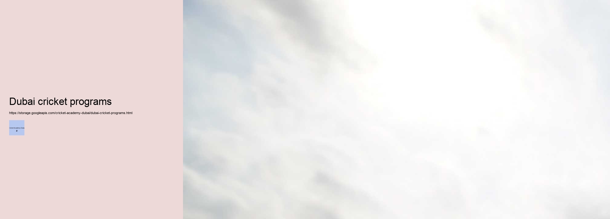 What is the Secret to Mastering Cricket? Discover it at Cricket Academy Dubai!