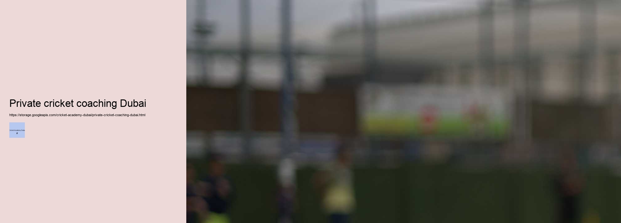 What is the Secret Behind Cricket Academy Dubai's Success?