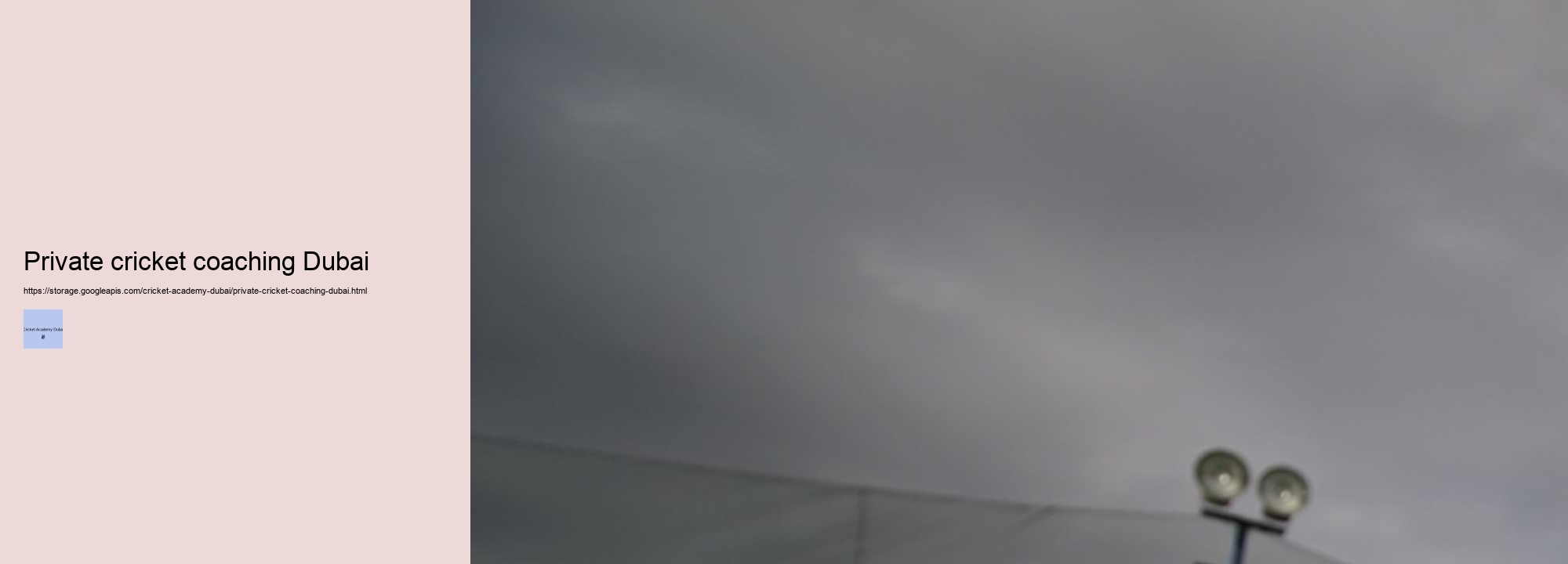 How to Transform Your Game at Dubai’s Top-Rated Cricket Academy?