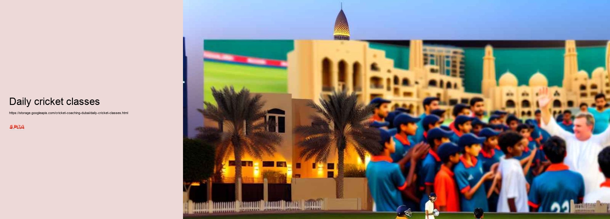 daily cricket classes