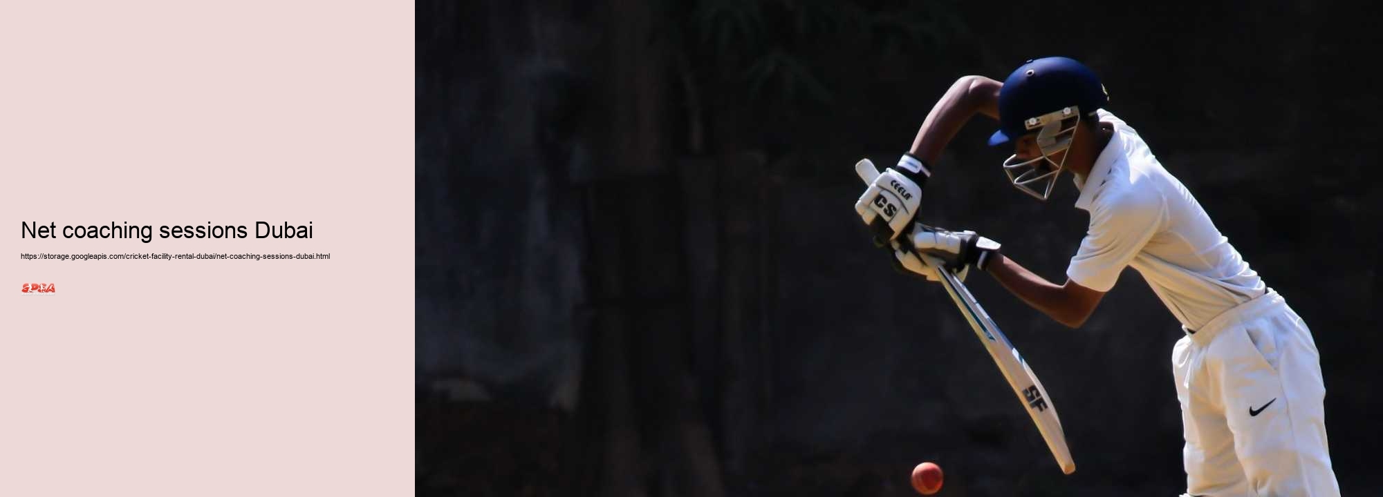 net coaching sessions Dubai