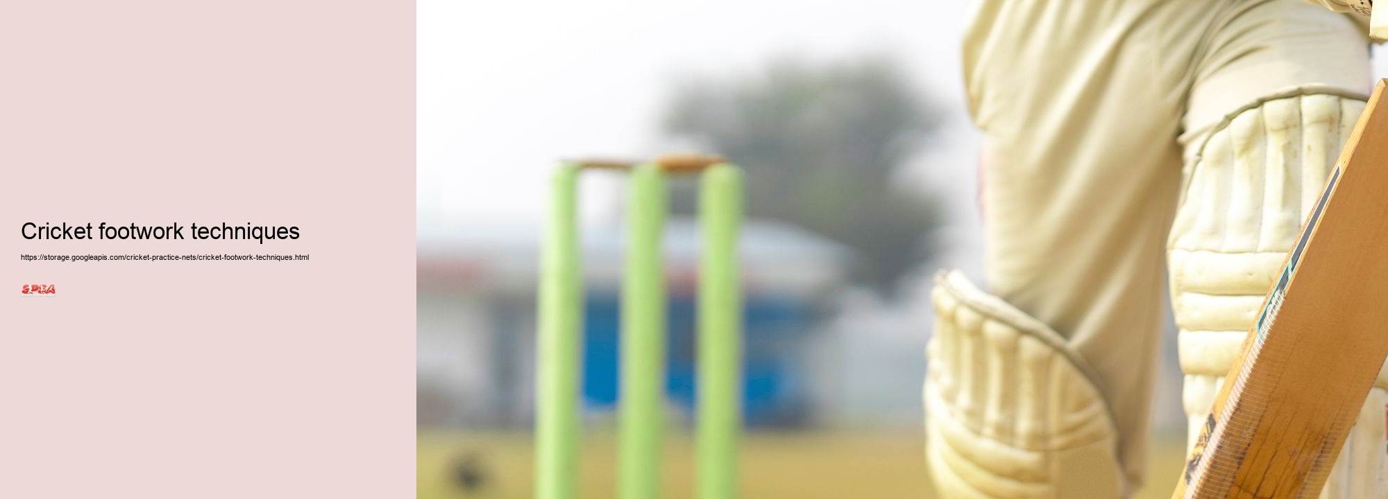 Cricket footwork techniques