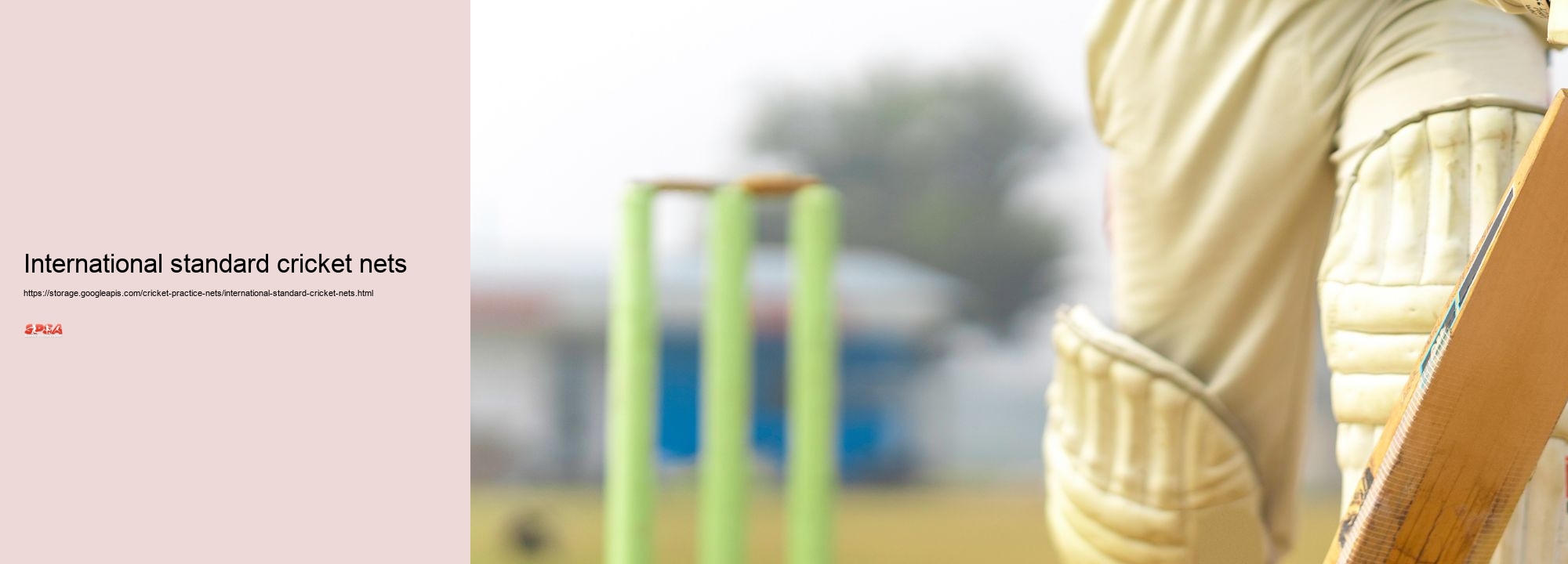 International standard cricket nets