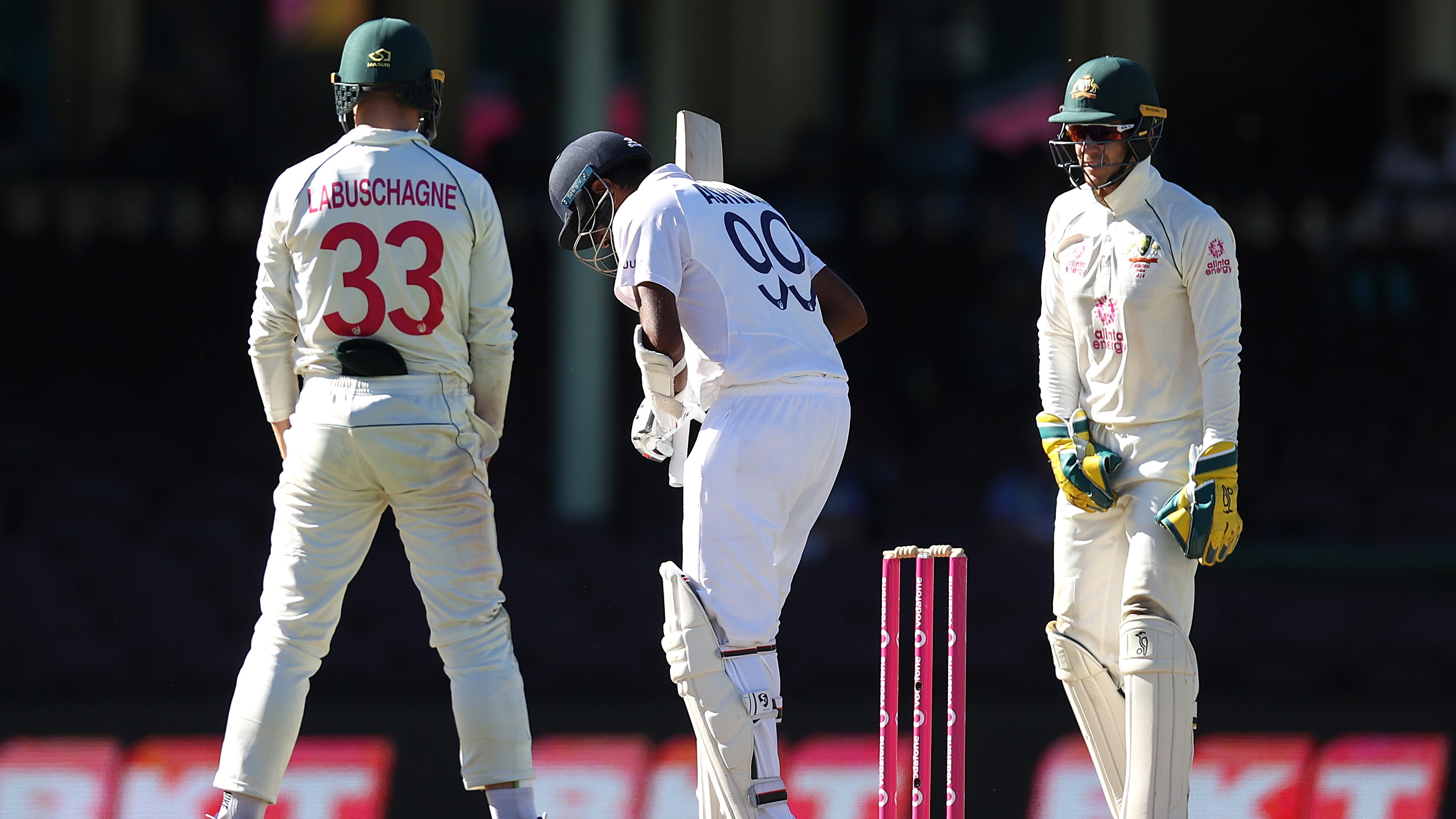 Tim Paine apologises for poor behaviour on fifth day in Sydney Test