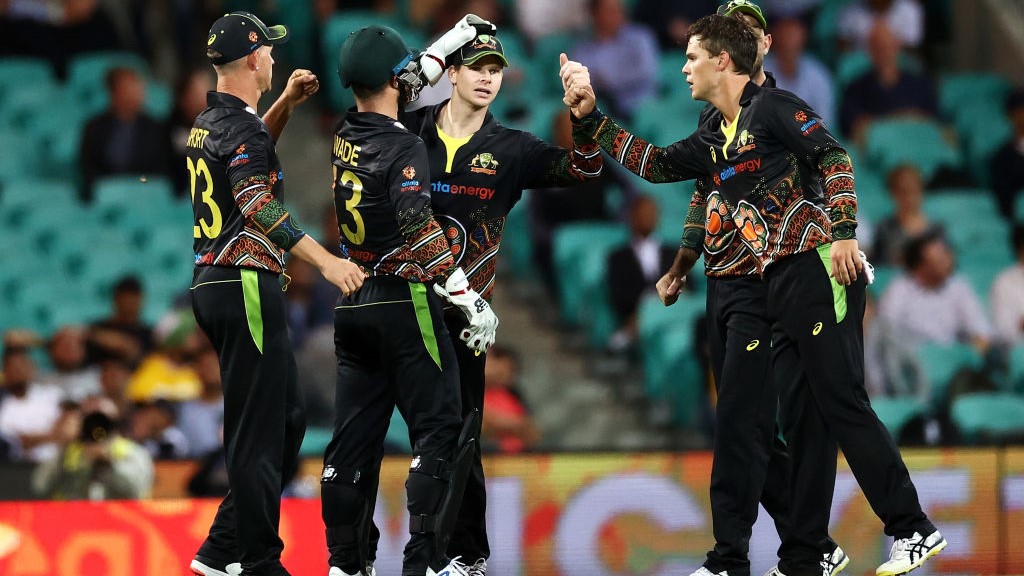 AUS vs IND 3rd T20: What Experts said as Wade, spinners help Aussies salvage some pride