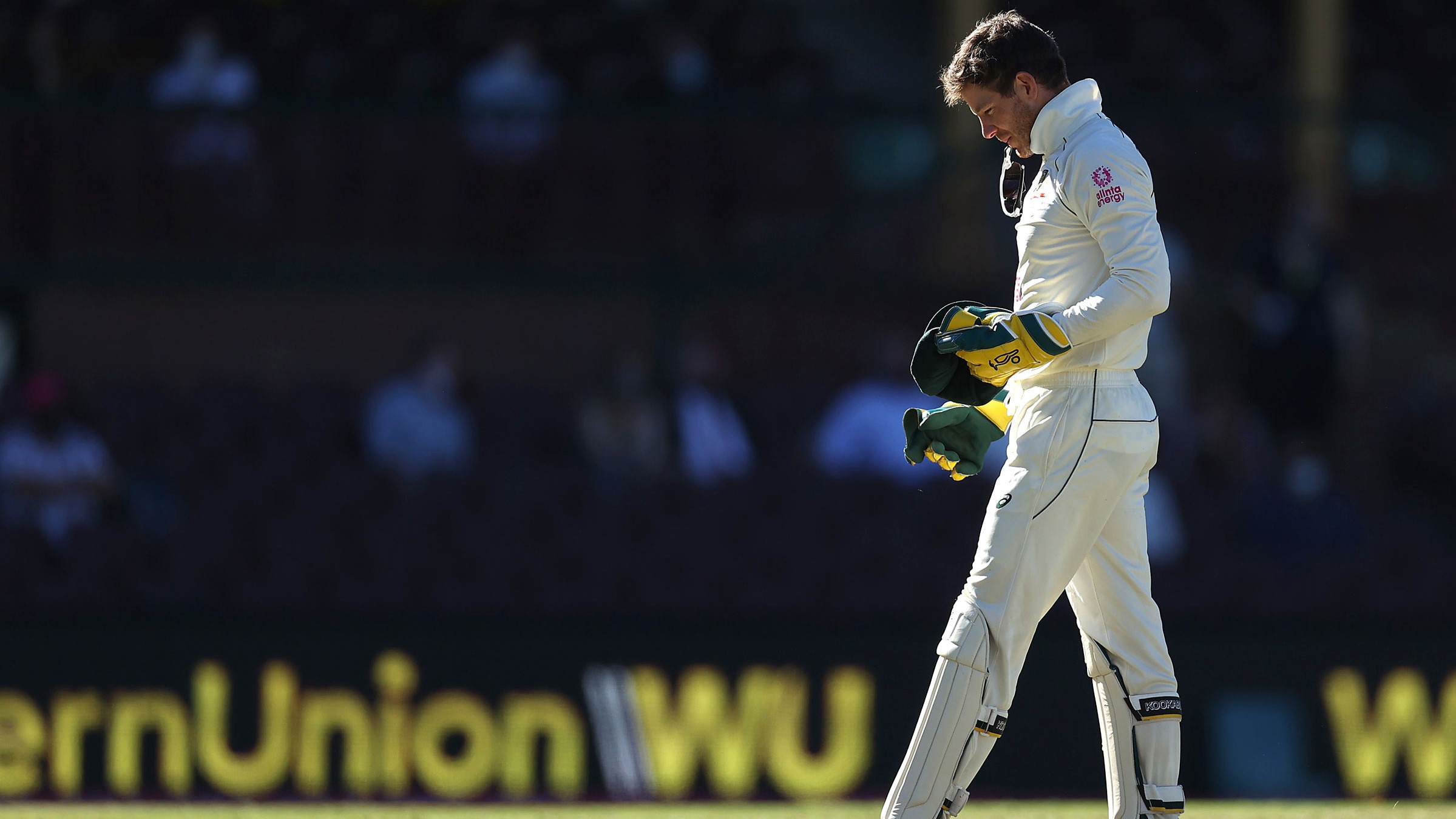 Australia captain Tim Paine urges fans to leave all abuses at Gabba's gate