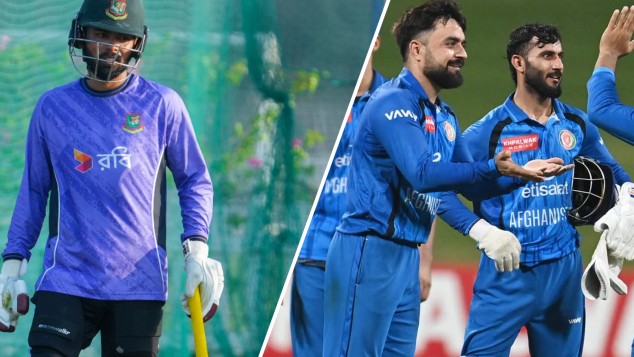 Tigers Face NRR Mountain in Tri-Series Final Equation