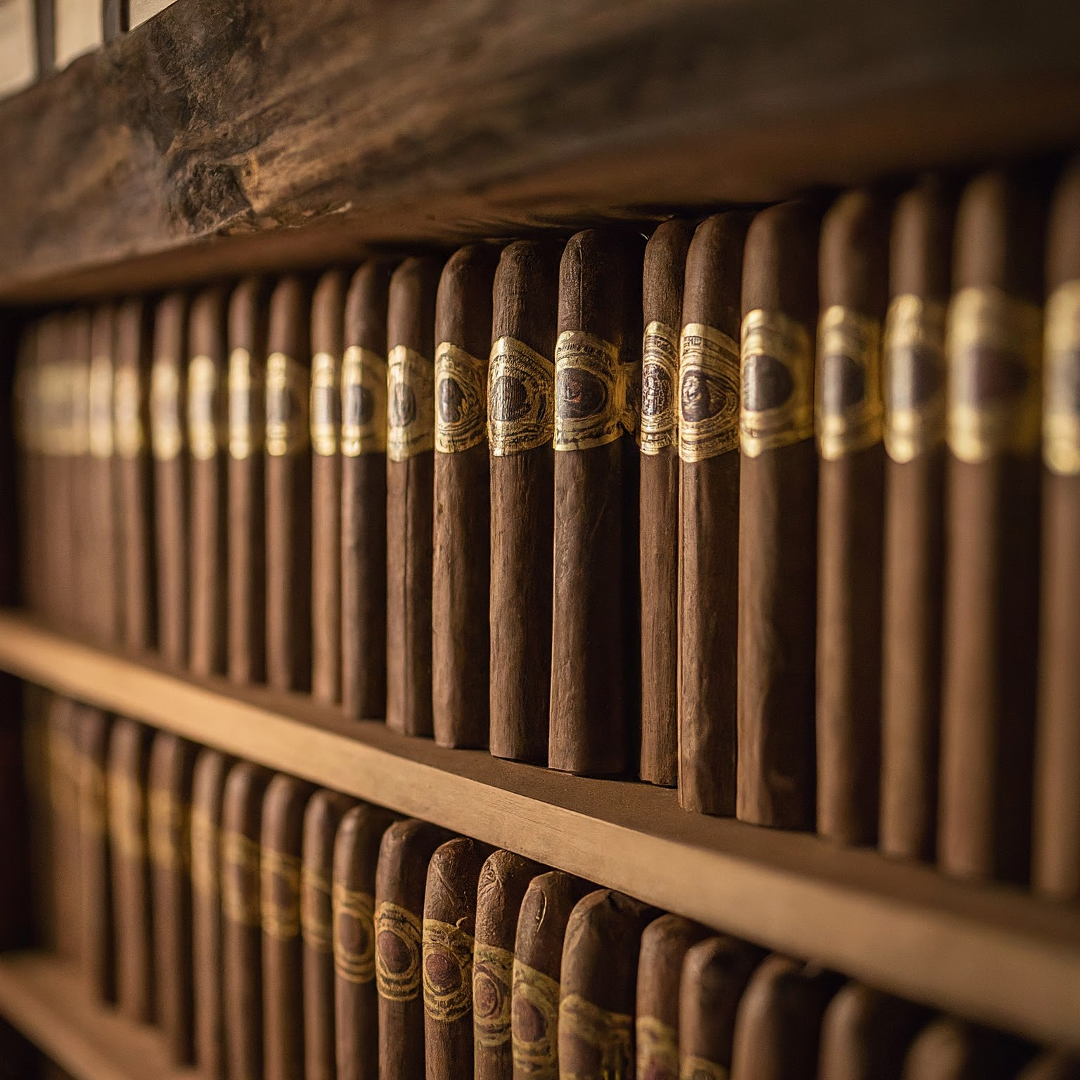 cigar storage cigar storage