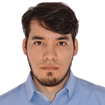 Luis – Python, AWS, SQL, experts in Lemon.io