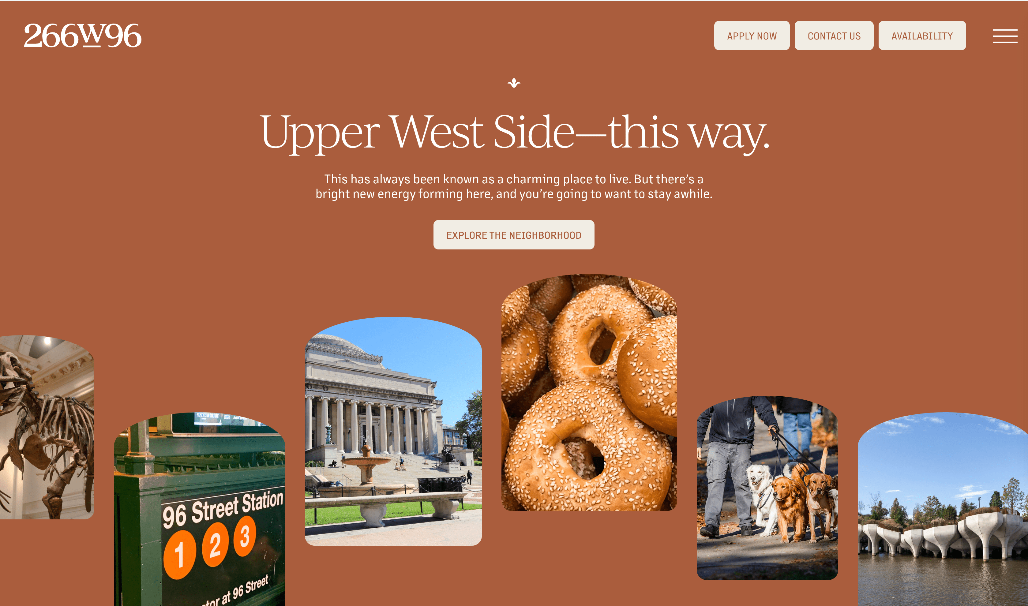 Portfolio example for Fetner 266w96 by Guilherme, Software Develoepr