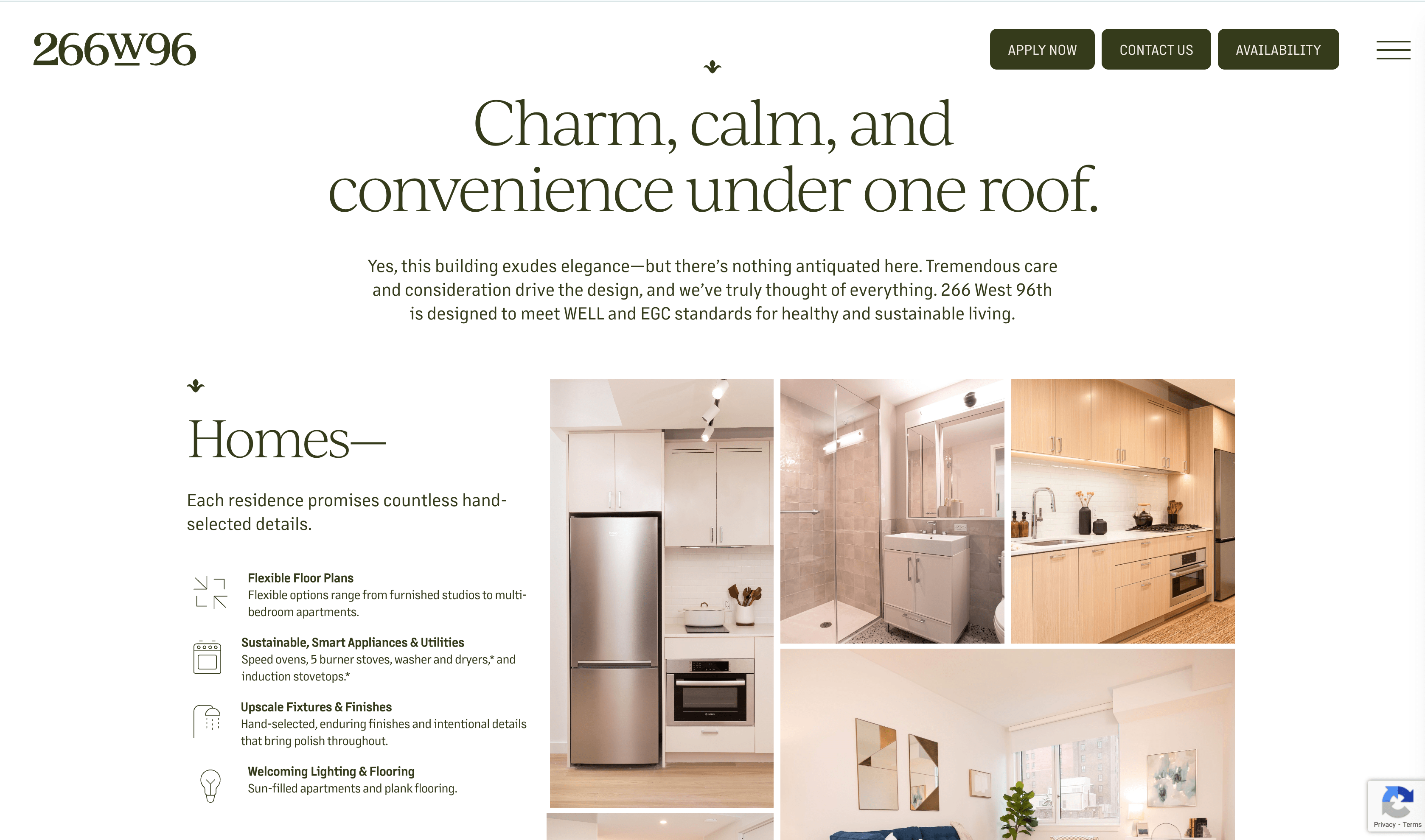 Portfolio example for Fetner 266w96 by Guilherme, Software Develoepr