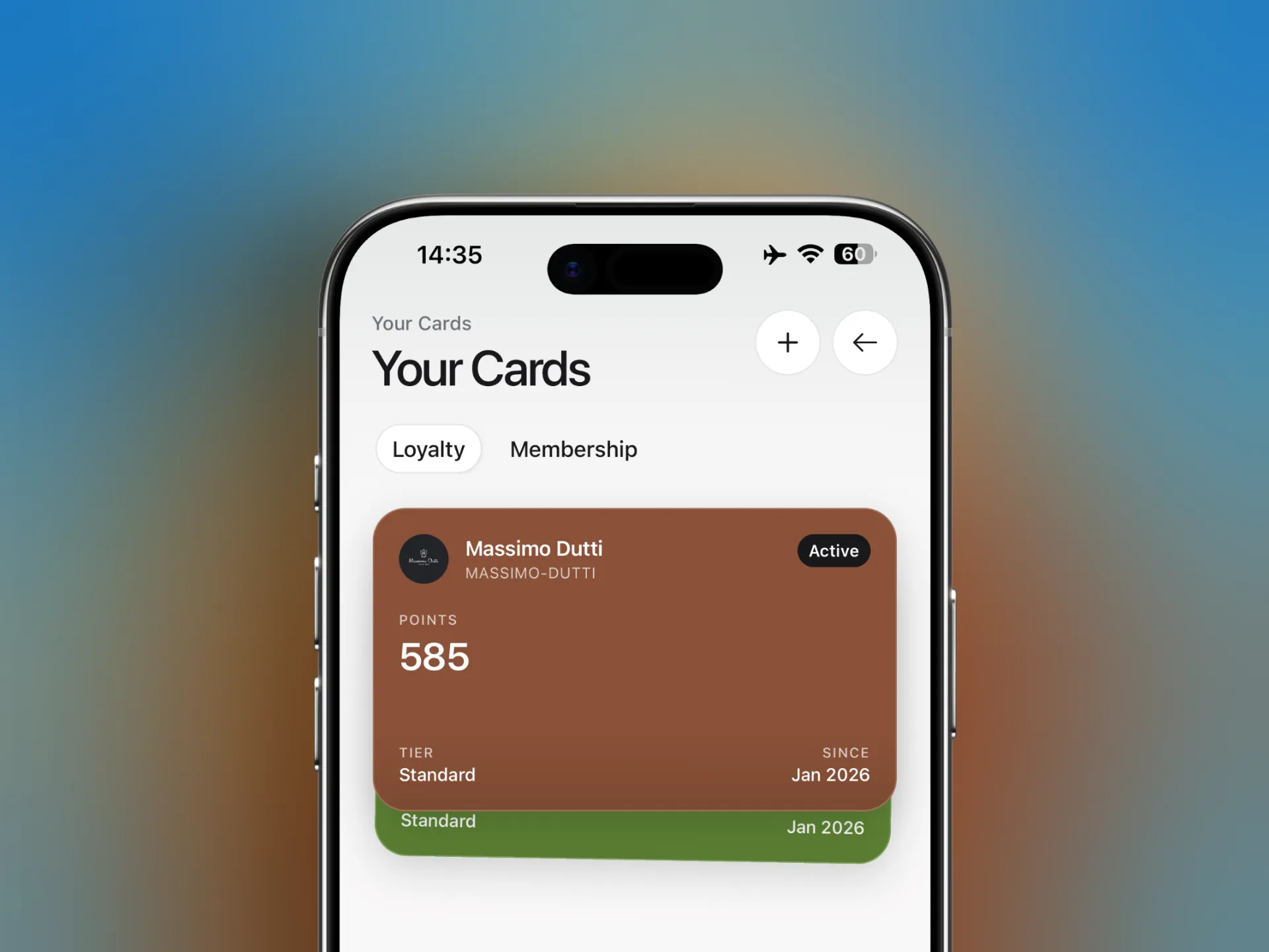 Member tiers and cards preview