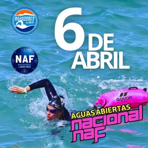 logo ndg