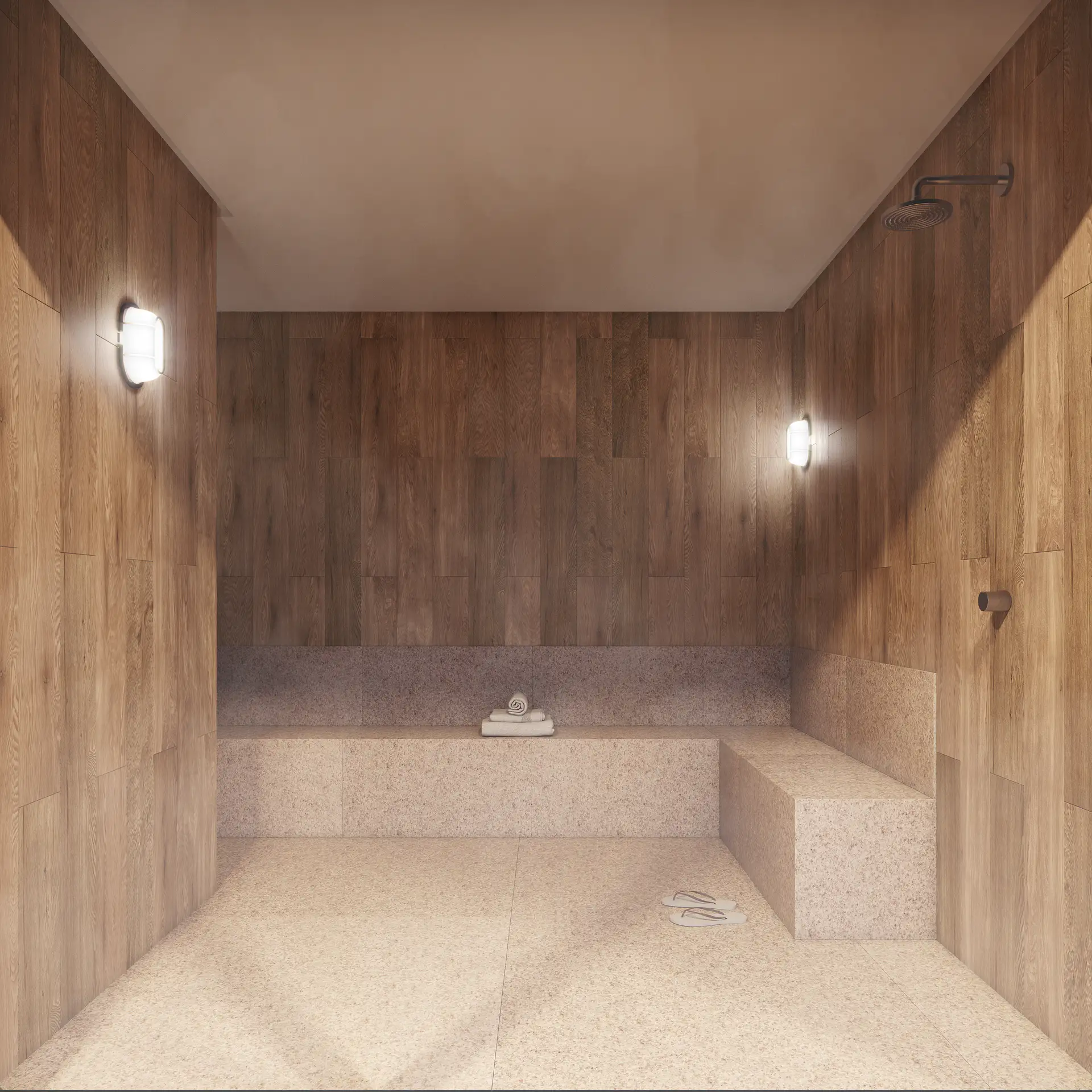 FR0069_SAUNA