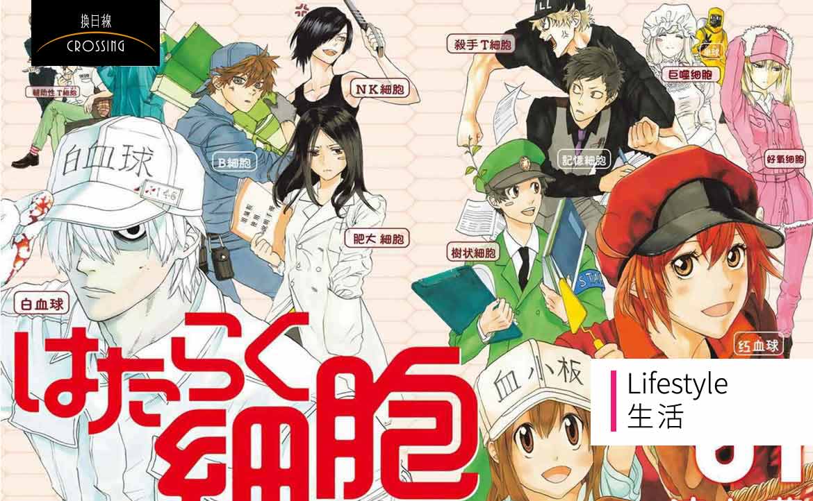 日本科普動畫 工作細胞 為何轟動中 日 台 漫畫家清水茜 為妹妹而畫 意外引爆熱潮 何則文 香蕉夢想家 換日線