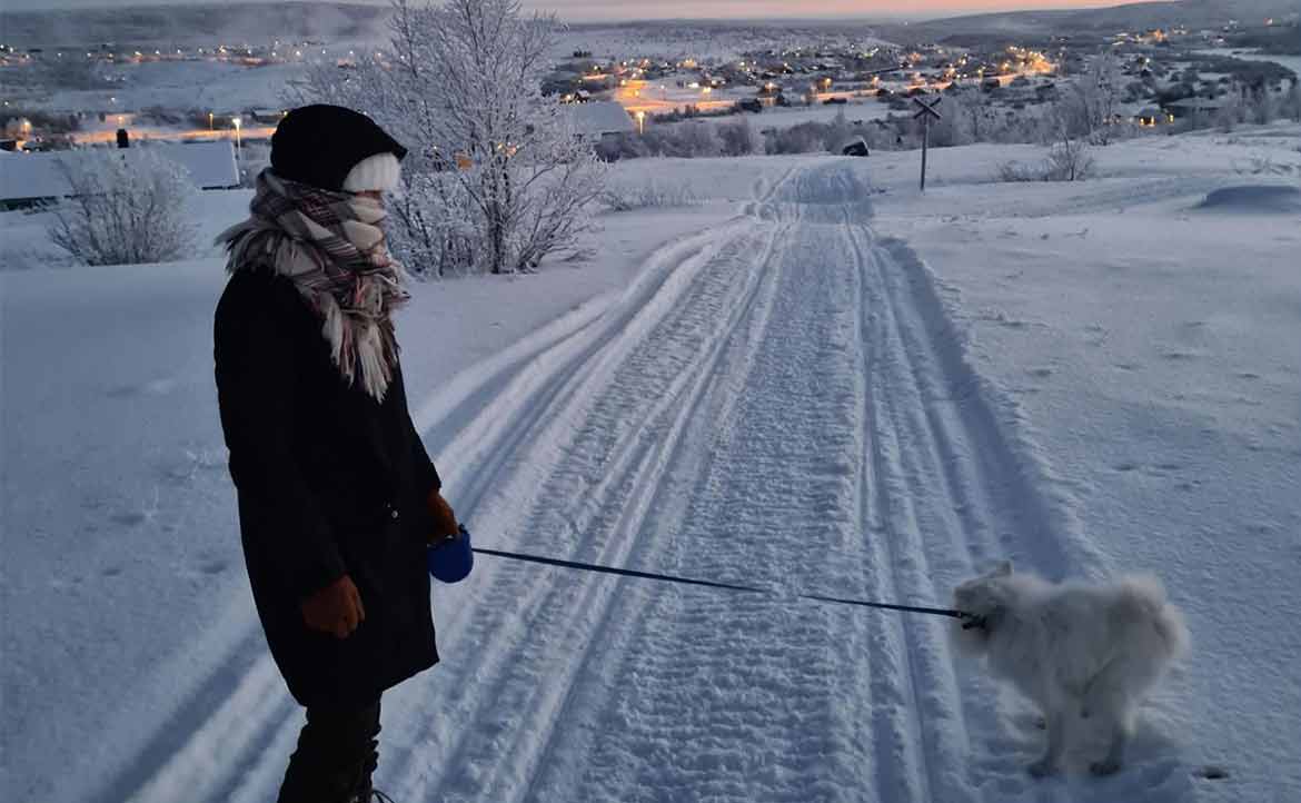你也以為北歐好冷 難以生存 在這住了10 年 不宜人居 的經驗其實只有一次 水鹿遇到馴鹿 換日線 你也以為北歐好冷 難以生存 在這住了10 年 不宜人居 的經驗其實只有一次 水鹿遇到馴鹿 換日線