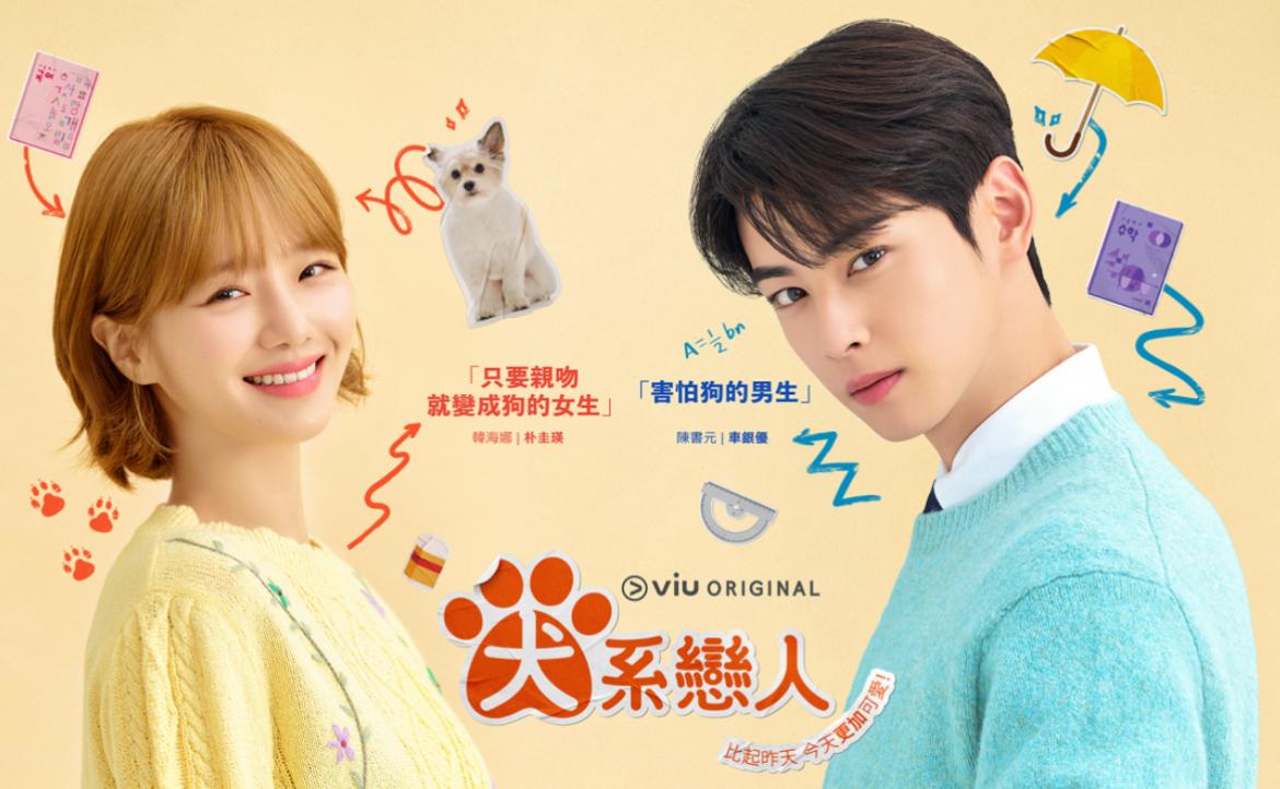 一週一集真的很傷?從韓劇《犬系戀人》反思播出策略與何謂「成功」|樓俊廷/影視初心者|換日線