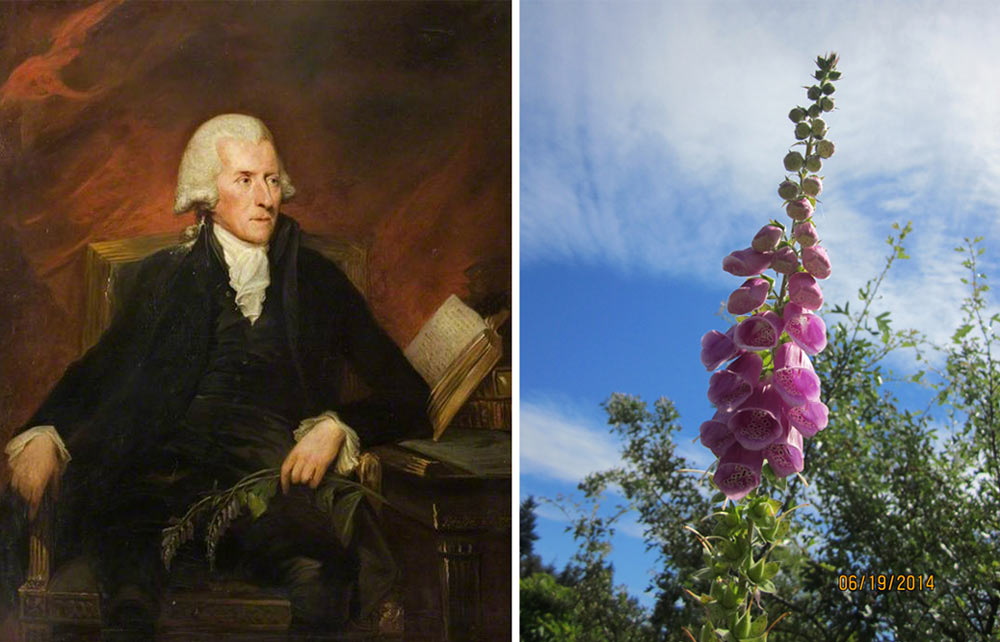 Шведский ботаник. Уильям Уитеринг. Уильям уизеринг. Ботаник 18 века. И Х Буксбаум фото ботаник 1725 год.