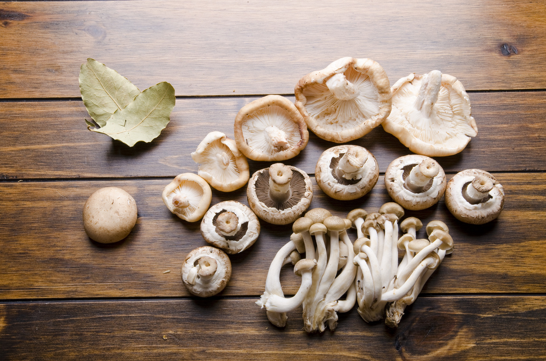 Eat Your Mushrooms! Powerful Health Benefits For The Cancer Thriver