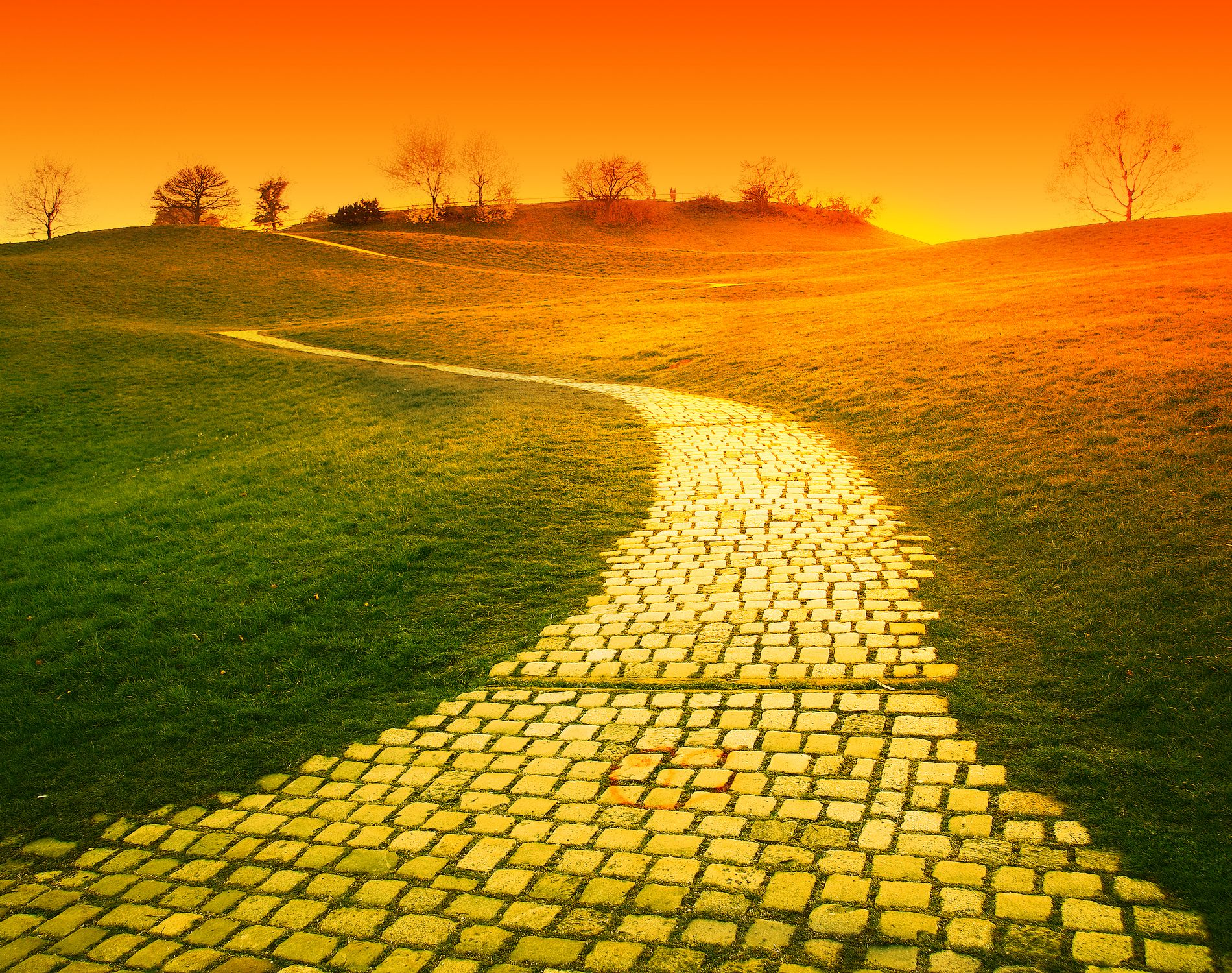 ASH 2019: Follow the Yellow Brick Road. to Minimal Residual Disease Negativ...