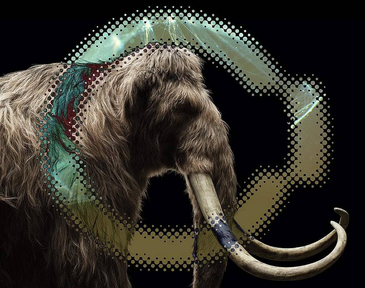 Utah’s Brandon Fugal Invests in Resurrection of Woolly Mammoth