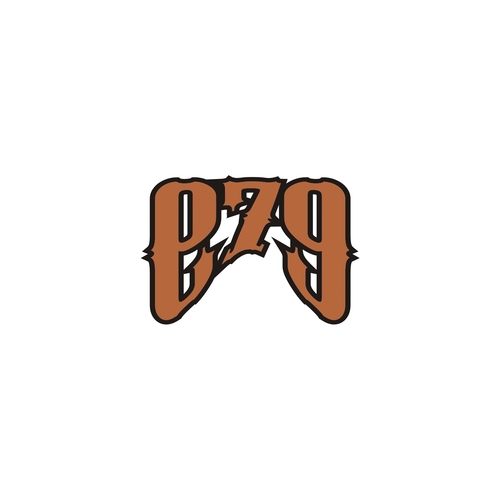 I am a logo designer