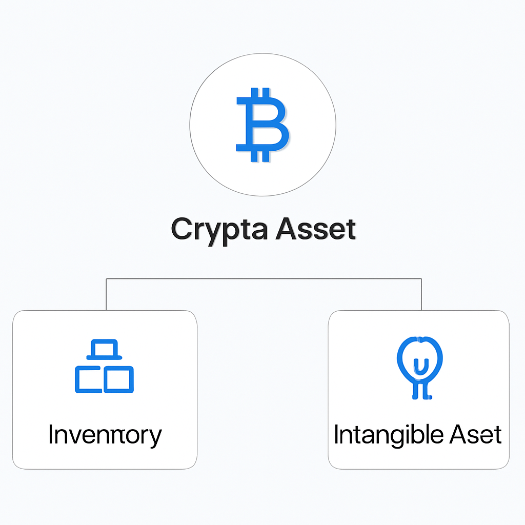 Crypto Accounting Software: Inventory or Intangible Asset?