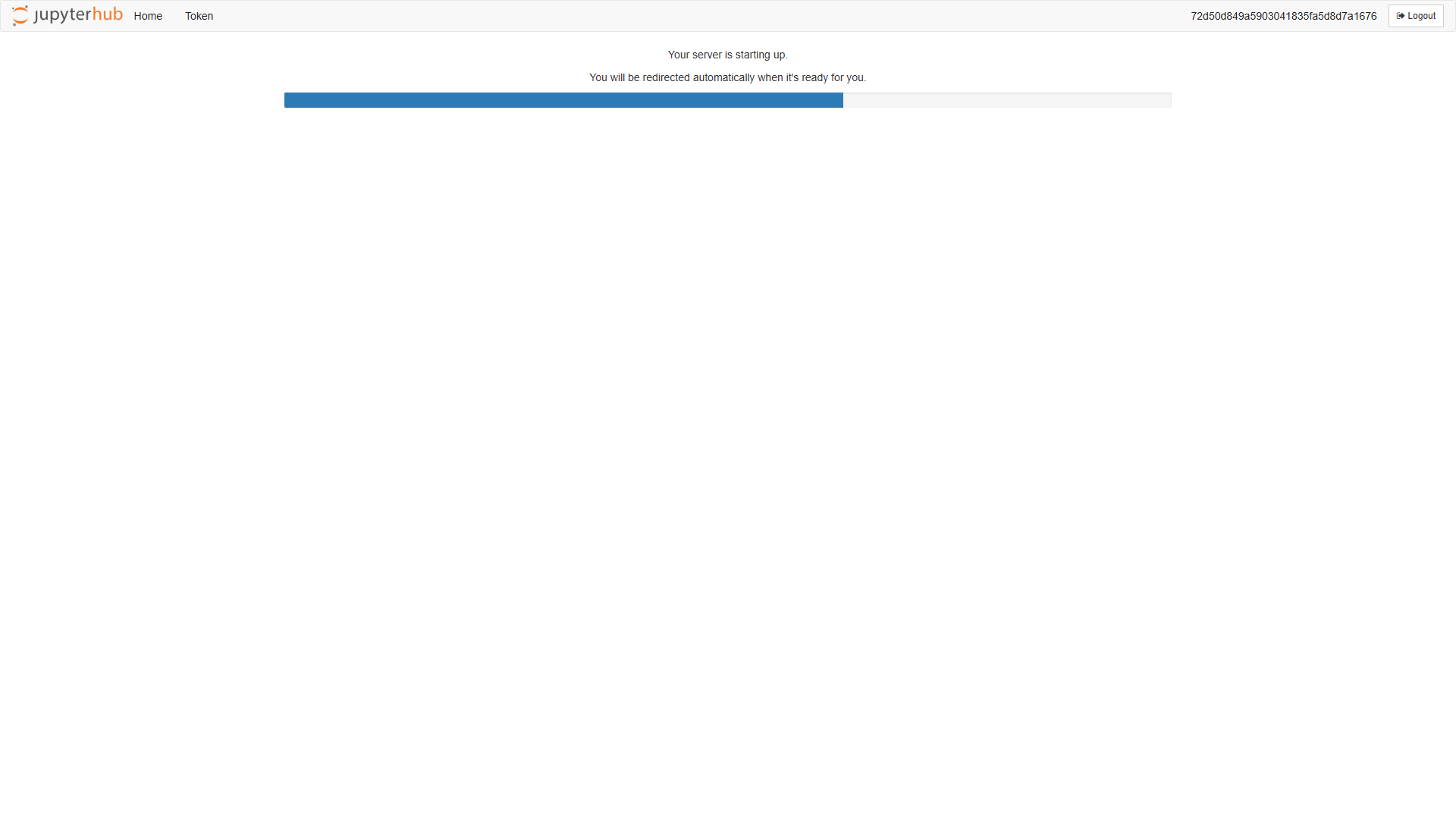 Jupyter Hub loading page showing the notebook server starting up