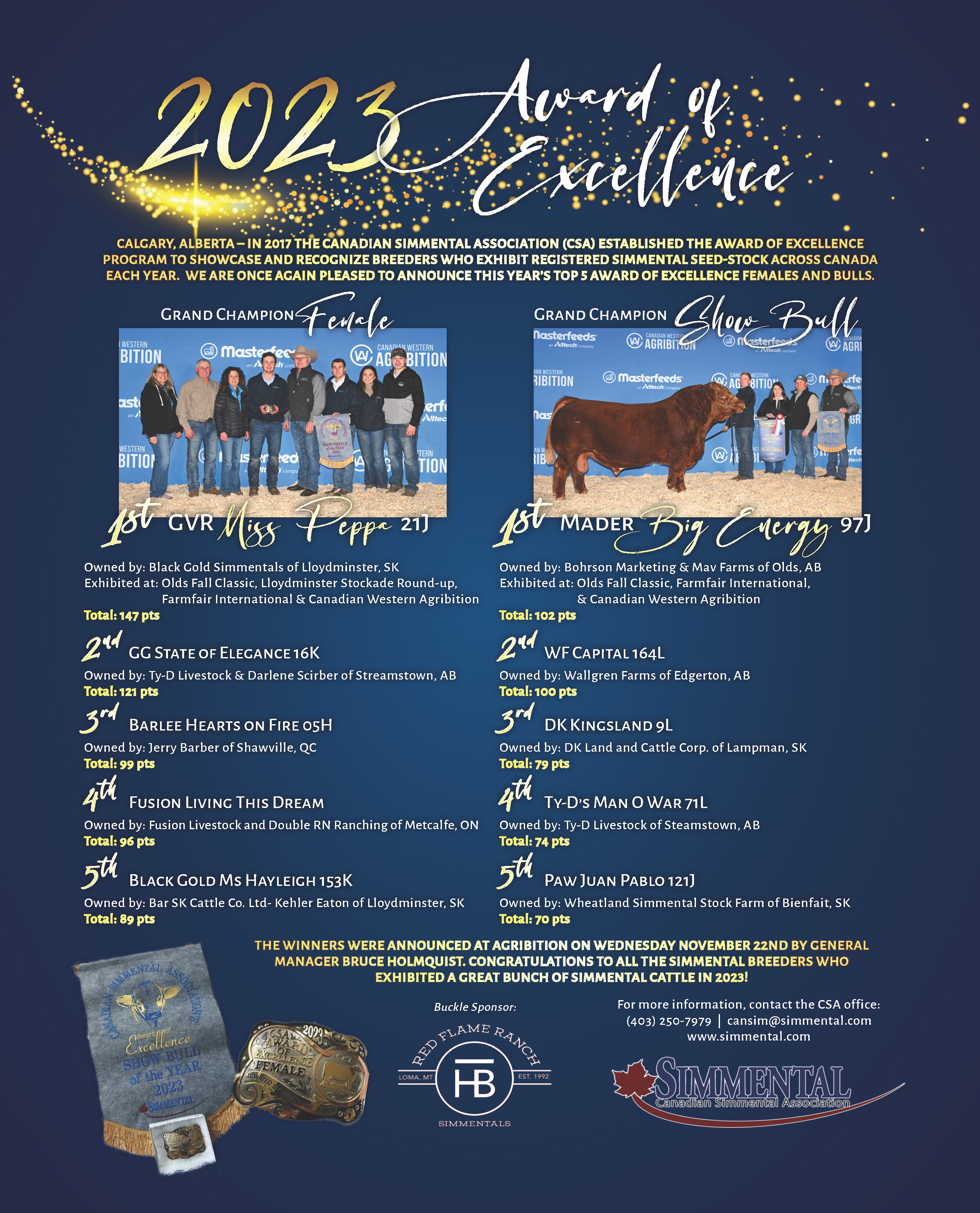 Award of Excellence 2023