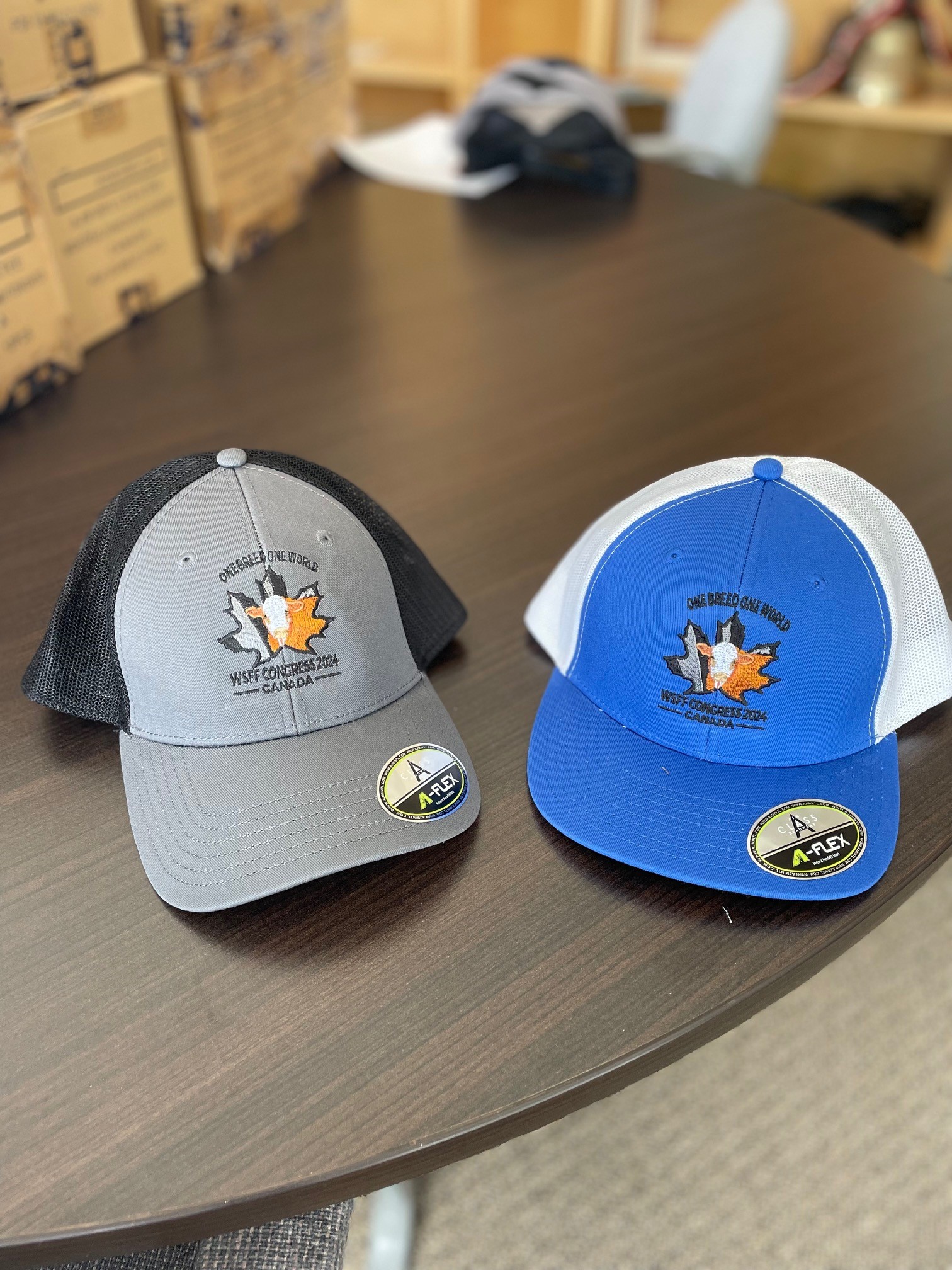 WSFF Congress 2024 Flex Fit Mesh Hat