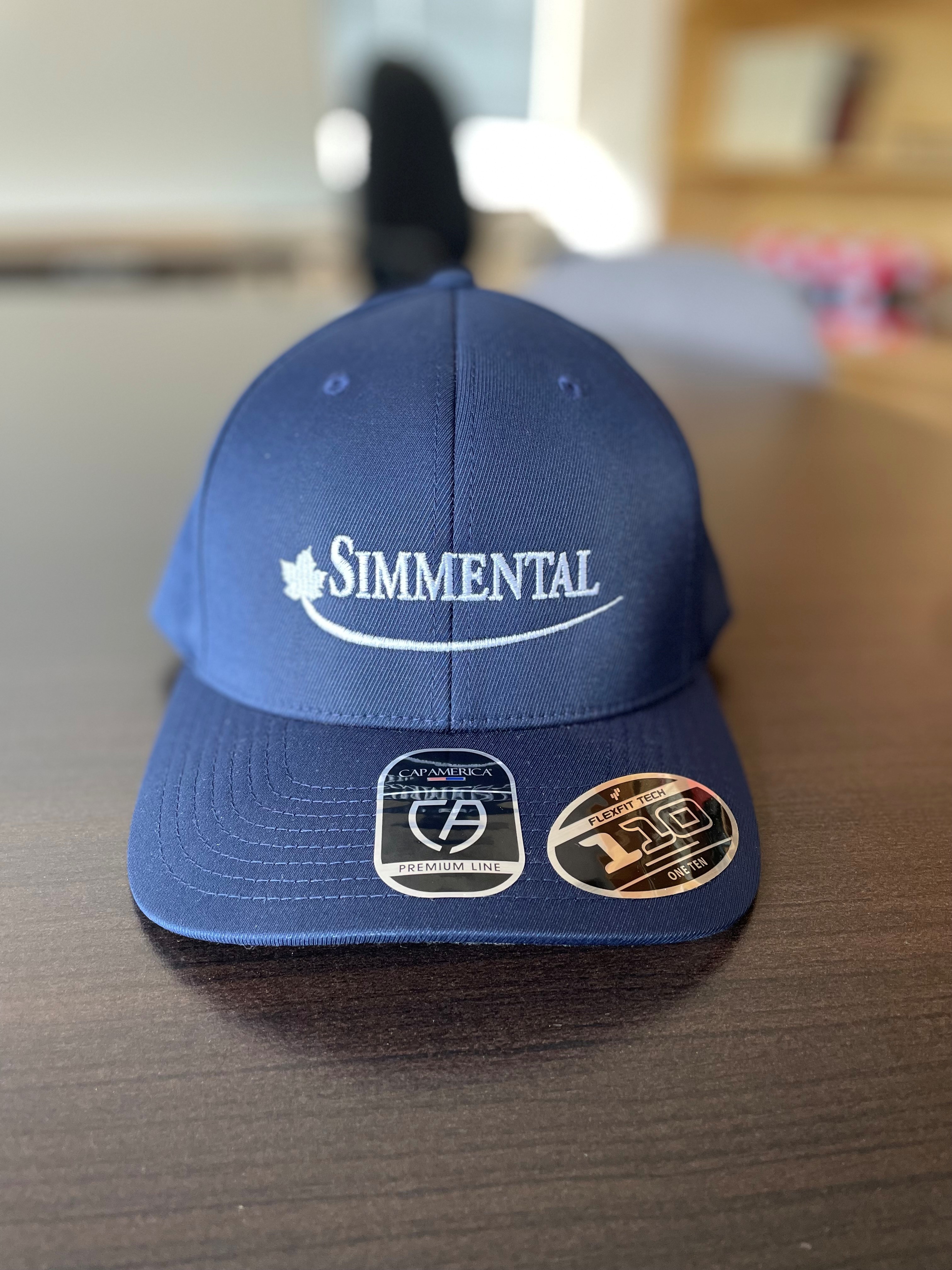 Flex Fit Snap Back Hat