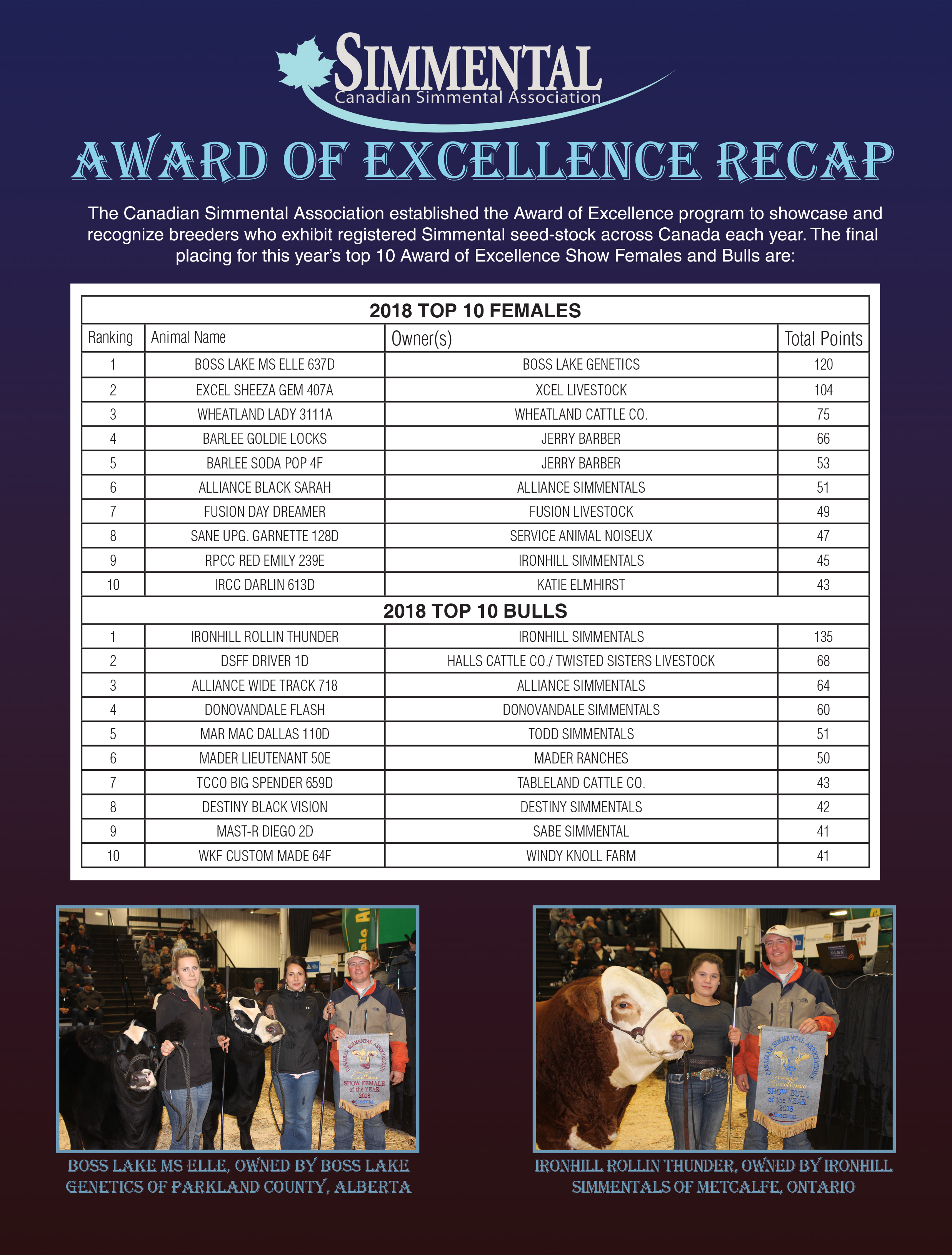 Award of Excellence 2018