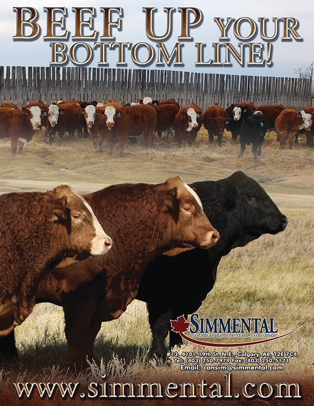 “Beef Up Your Bottom Line” advertisement (PDF)