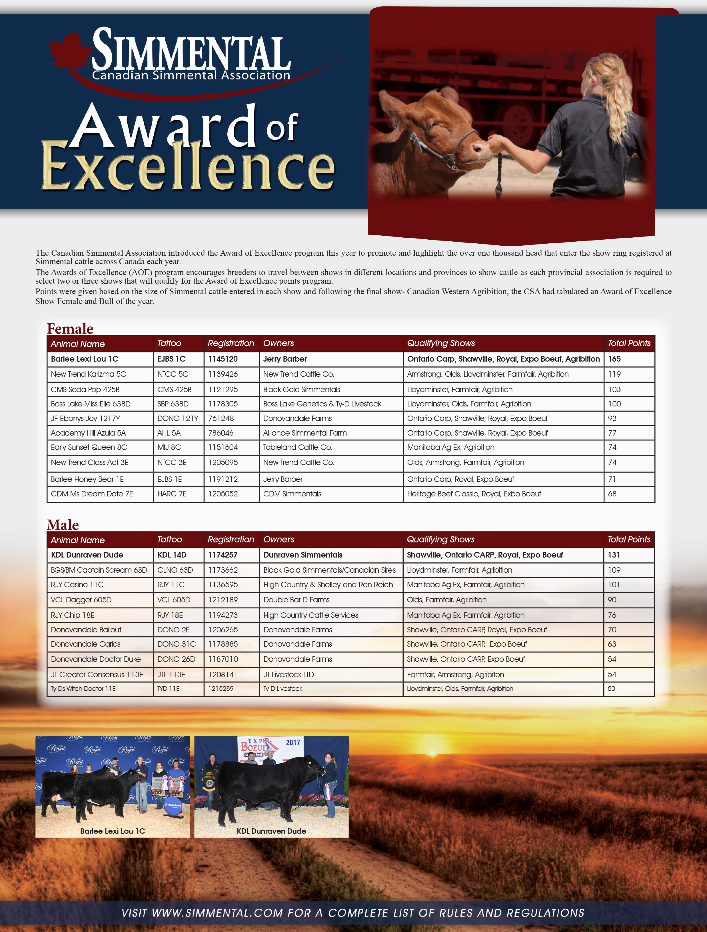 Award of Excellence 2017