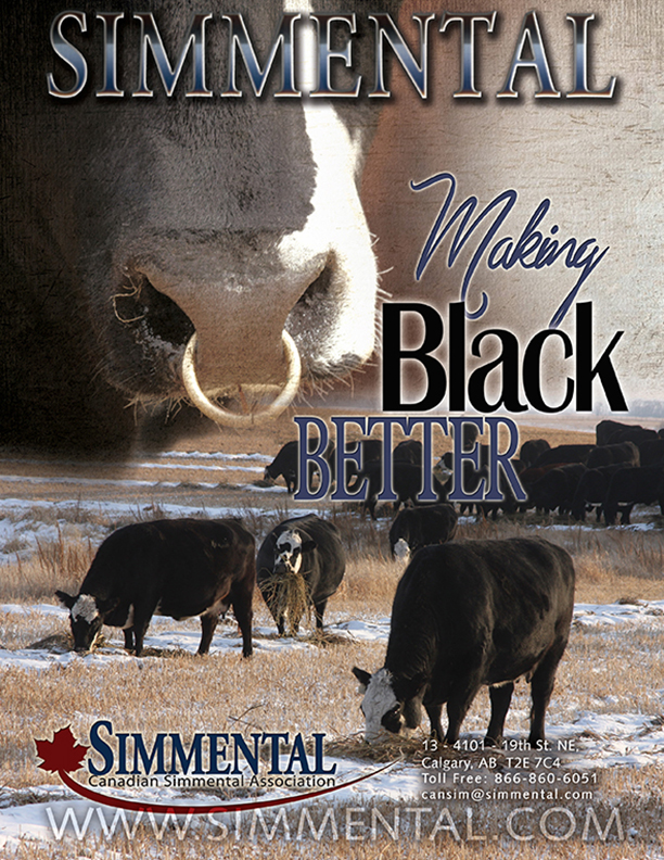 “Black, Better” advertisement (PDF)