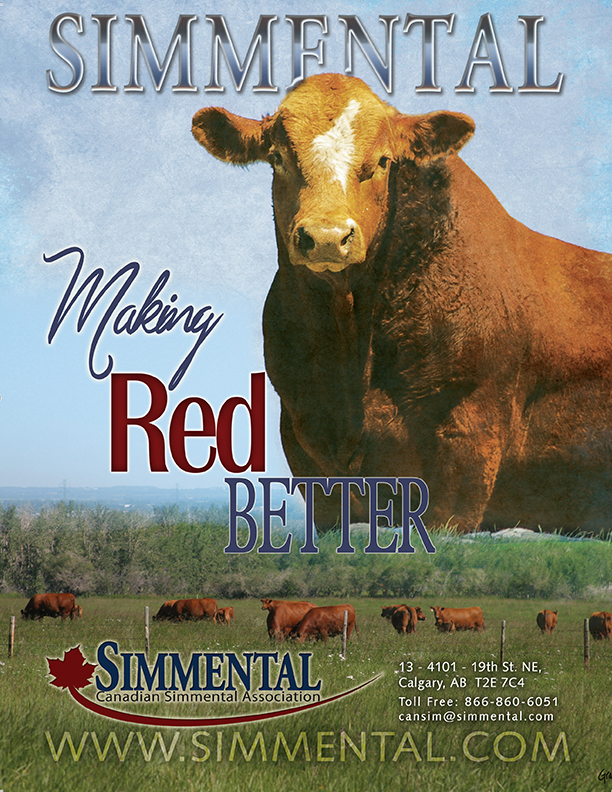 “Red, Better” advertisement (PDF)